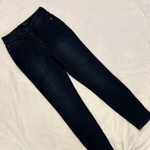 Judy Blue Midnight Skinny Jeans